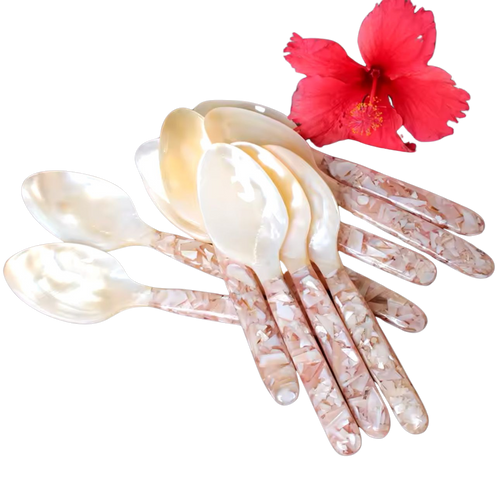 Vietnamese Pearl Shell Long-Handle Spoon