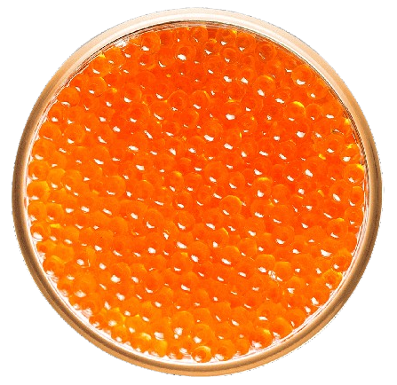 Salmon Caviar