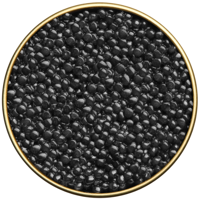 Beluga Caviar