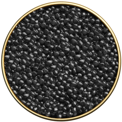 Beluga Caviar