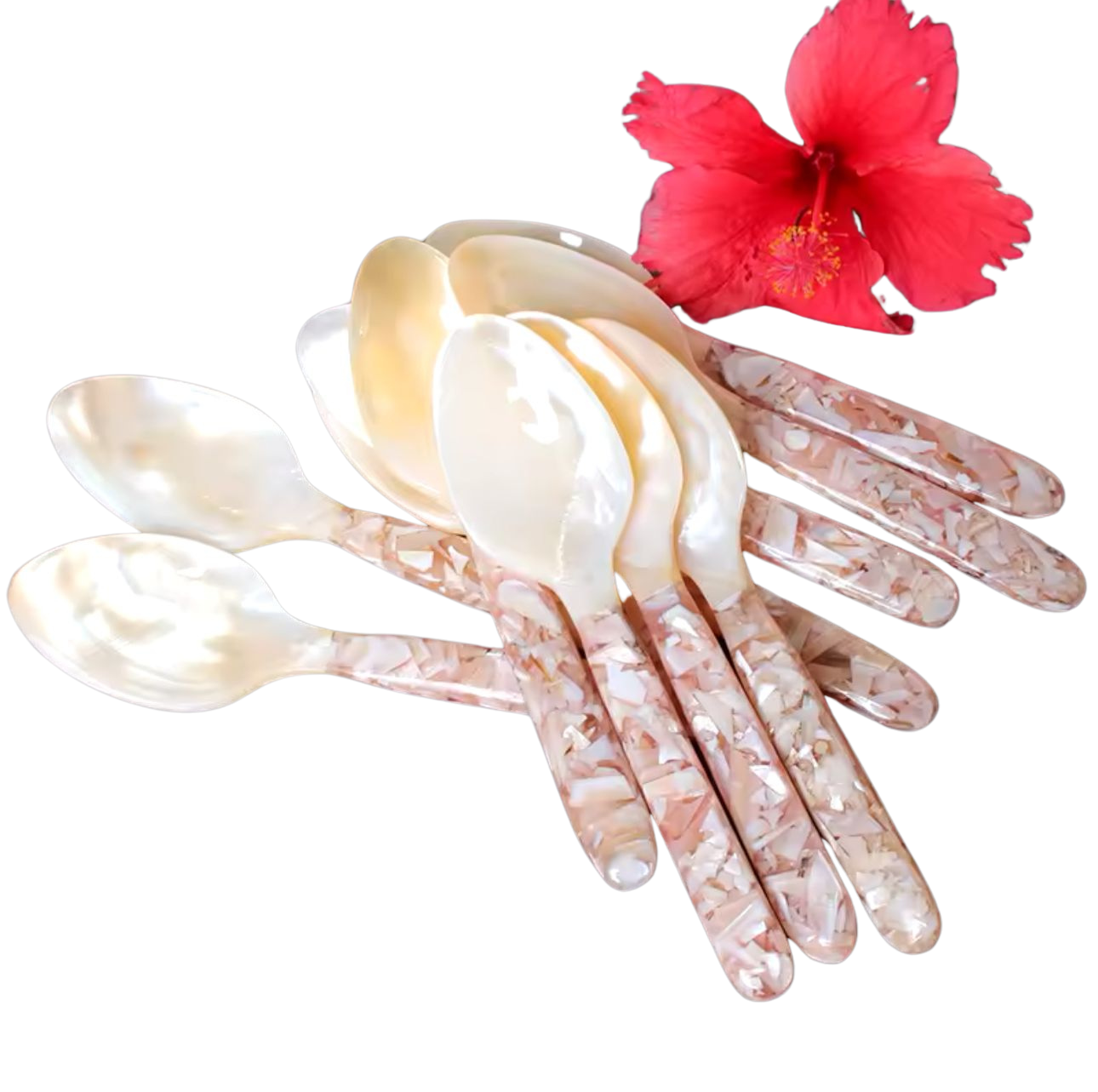 Vietnamese Pearl Shell Long-Handle Spoon